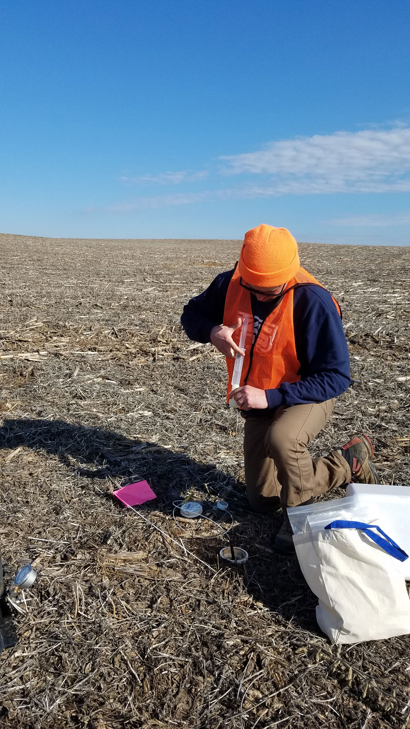 Collecting samples on the field site.